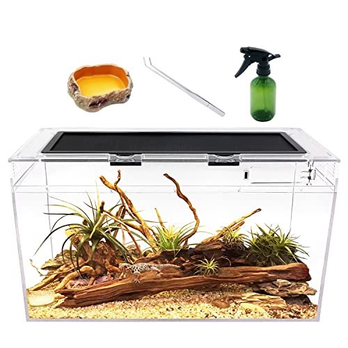 10 Gallon Terrarium with Lid - comprehensive buying guide and reviews