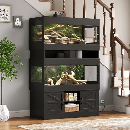 40 Gallon Bearded Dragon Terrarium - comprehensive buying guide and reviews