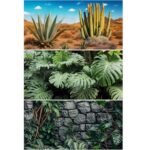 40 Gallon Leopard Gecko Terrarium - comprehensive buying guide and reviews