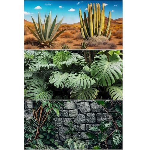 40 Gallon Leopard Gecko Terrarium - comprehensive buying guide and reviews