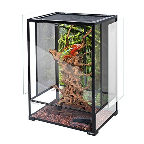 40 Gallon Vertical Terrarium - comprehensive buying guide and reviews
