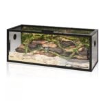 75 Gallon Terrarium for Bearded Dragon - comprehensive buying guide and reviews