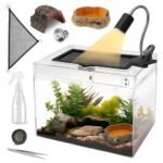 Bearded Dragon Terrarium Kit - comprehensive buying guide and reviews