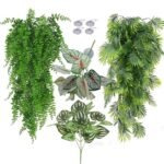 Bearded Dragon Terrarium Plants - comprehensive buying guide and reviews