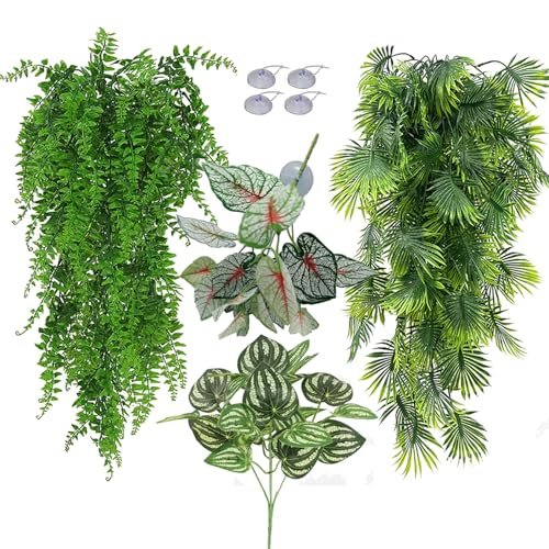 Bearded Dragon Terrarium Plants - comprehensive buying guide and reviews