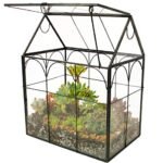 Better Homes and Gardens Terrarium - comprehensive buying guide and reviews