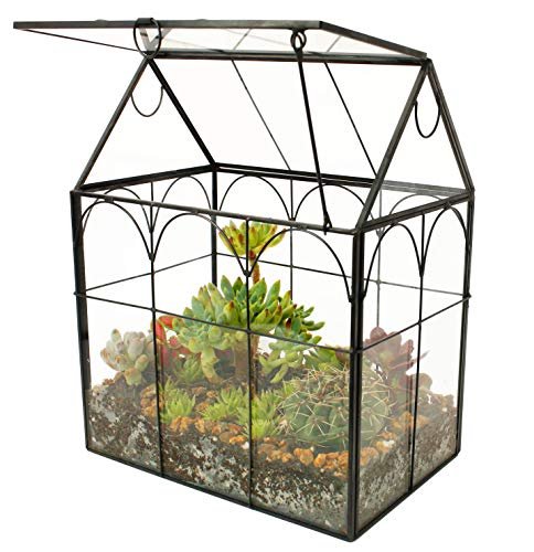 Better Homes and Gardens Terrarium - comprehensive buying guide and reviews