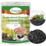 Charcoal for a Terrarium - comprehensive buying guide and reviews