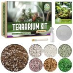 Do It Yourself Terrarium Kit - comprehensive buying guide and reviews