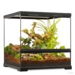 Exo Terra Large Tall Terrarium - comprehensive buying guide and reviews