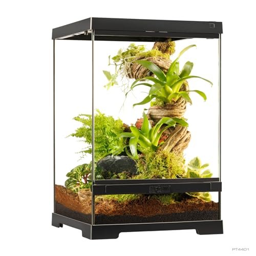 Exo Terra Pro Terrarium - comprehensive buying guide and reviews