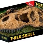 Exo Terra T Rex Skull Terrarium Decor - comprehensive buying guide and reviews