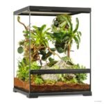 Exo Terra Terrarium Large Tall - comprehensive buying guide and reviews