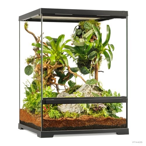 Exo Terra Terrarium Large Tall - comprehensive buying guide and reviews