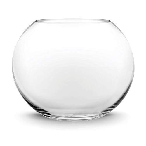 Extra Large Glass Bowl Terrarium - comprehensive buying guide and reviews