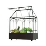 Extra Large Terrarium for Plants - comprehensive buying guide and reviews