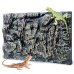Foam Backgrounds for Terrariums - comprehensive buying guide and reviews