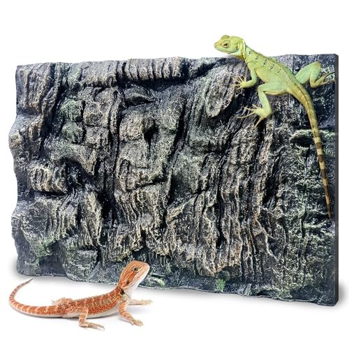 Foam Backgrounds for Terrariums - comprehensive buying guide and reviews