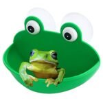 Frog Terrarium for Sale - comprehensive buying guide and reviews