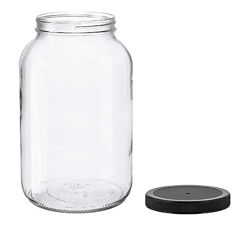 Glass Jars for Terrariums - comprehensive buying guide and reviews