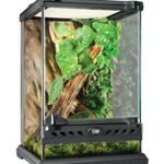 Glass Terrarium Exo Terra - comprehensive buying guide and reviews