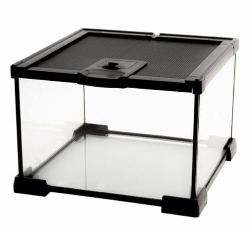 Glass Terrarium for Frogs - comprehensive buying guide and reviews