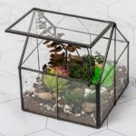 Glass Terrarium for Plants - comprehensive buying guide and reviews