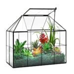 Glass Terrarium with Lid - comprehensive buying guide and reviews