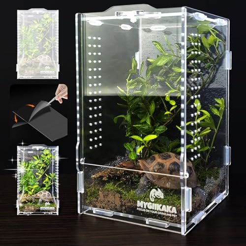 Jumping Spider Pet Terrarium - comprehensive buying guide and reviews