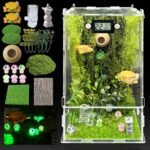 Jumping Spider Terrarium Kit - comprehensive buying guide and reviews