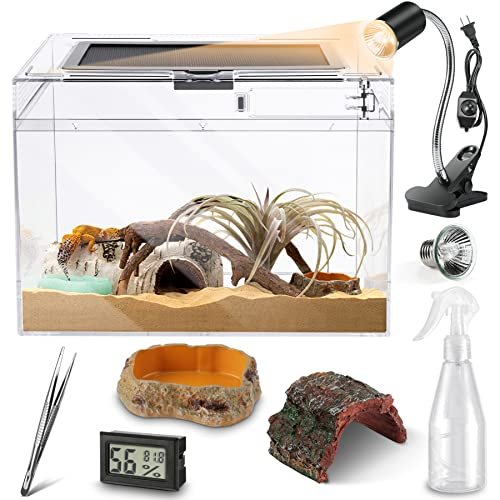 Kit Terrarium Gecko Leopard - comprehensive buying guide and reviews