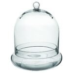 Large Terrarium for Sale - comprehensive buying guide and reviews