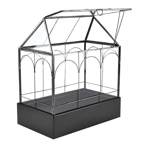 Large Terrariums for Sale - comprehensive buying guide and reviews