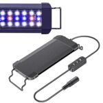 Led Lights for Terrarium - comprehensive buying guide and reviews