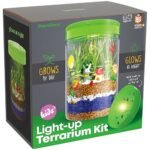 Light Up Terrarium Kit - comprehensive buying guide and reviews