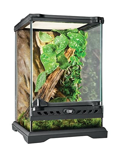 Natural Terrarium Exo Terra - comprehensive buying guide and reviews