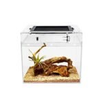 Natural Terrarium Mini X Tall - comprehensive buying guide and reviews