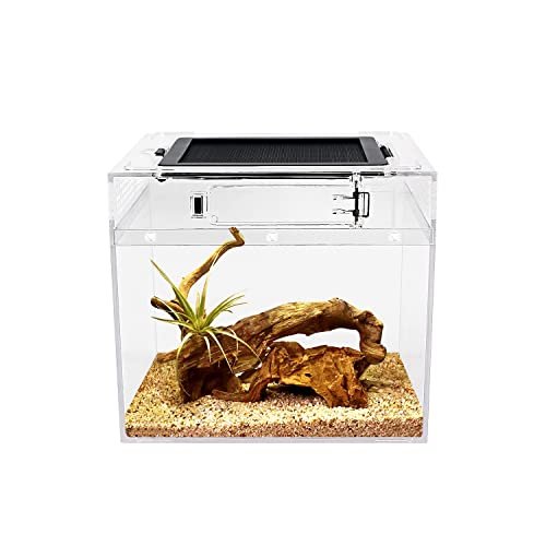Natural Terrarium Mini X Tall - comprehensive buying guide and reviews