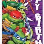 Ninja Turtle Christmas Decoration - comprehensive buying guide and reviews