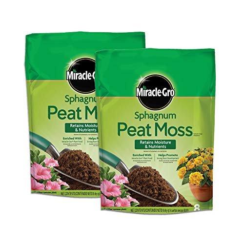 Peat Moss for Terrariums - comprehensive buying guide and reviews