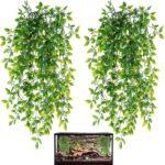 Plants for Hanging Terrarium - comprehensive buying guide and reviews