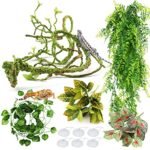 Plants Safe for Bearded Dragon Terrarium - comprehensive buying guide and reviews