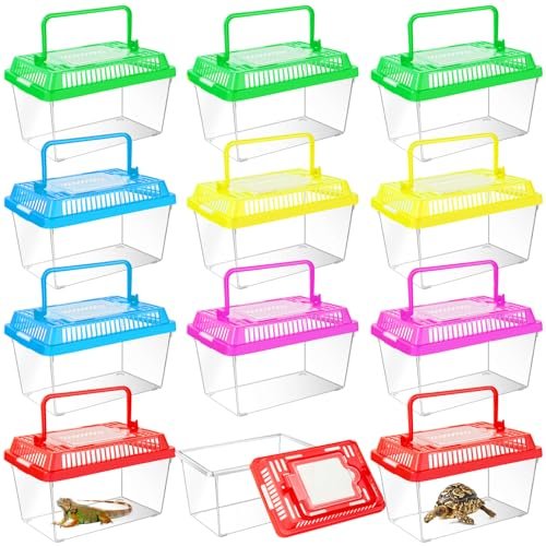Plastic Containers for Terrariums - comprehensive buying guide and reviews