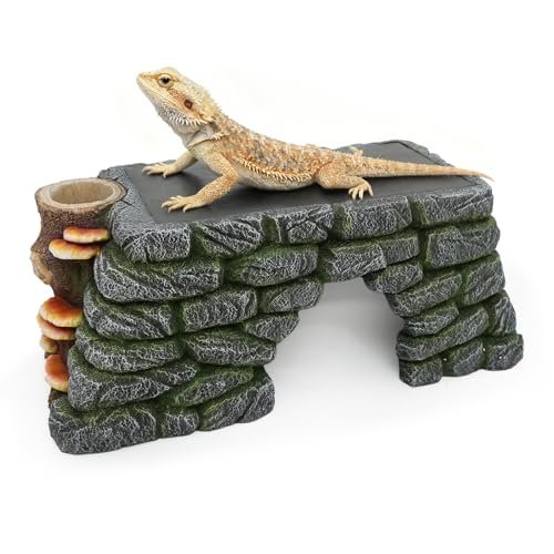 Reptile Terrarium Cave Stl - comprehensive buying guide and reviews