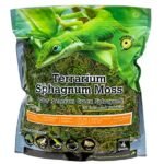 Sphagnum Moss for Terrarium - comprehensive buying guide and reviews
