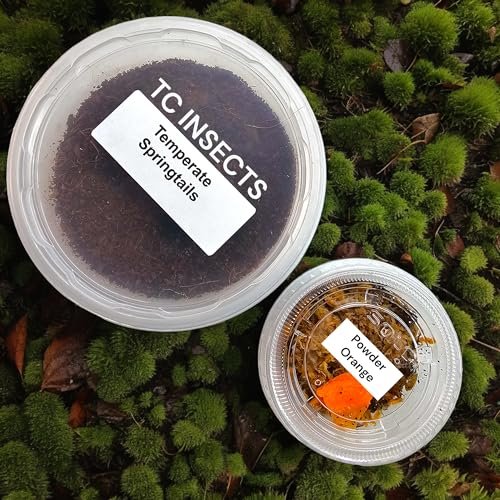 Springtails for Bioactive Terrarium - comprehensive buying guide and reviews