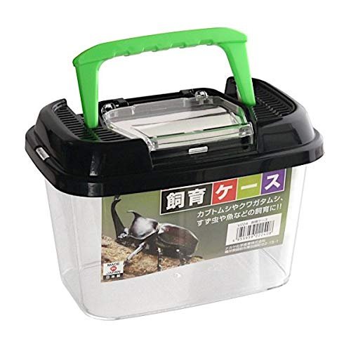 Terrarium Bugs for Sale - comprehensive buying guide and reviews