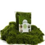 Terrarium Centerpieces for Wedding - comprehensive buying guide and reviews