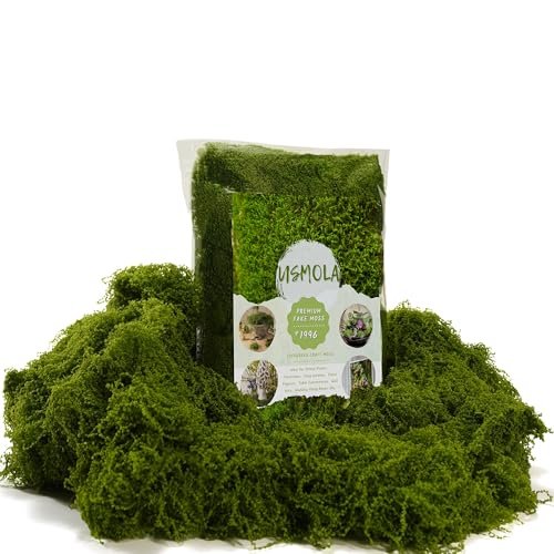 Terrarium Centerpieces for Wedding - comprehensive buying guide and reviews