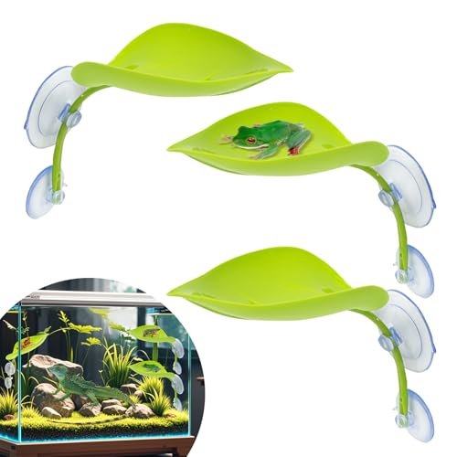 Terrarium for Dart Frogs - comprehensive buying guide and reviews
